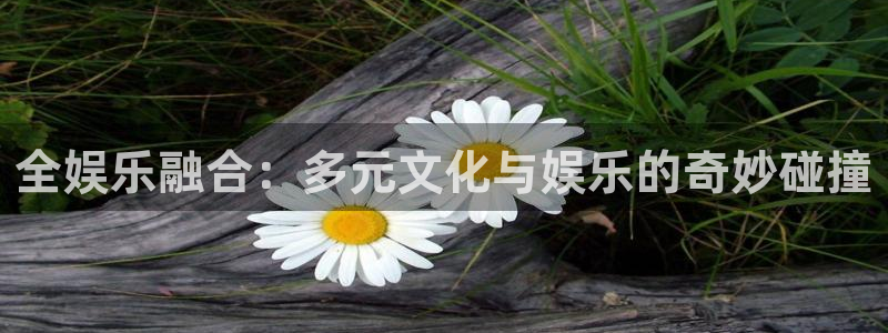 AB娱乐