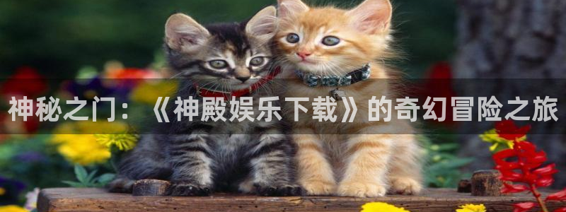 AB娱乐
