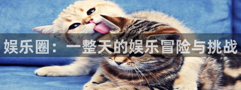 AB娱乐