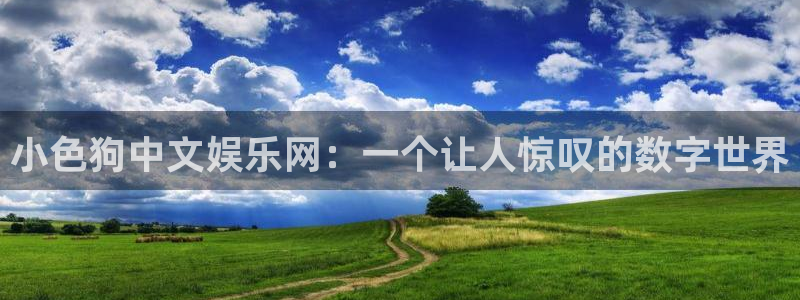 AB娱乐