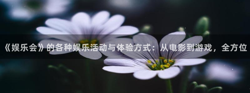 AB娱乐